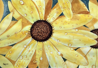Stephanie Druce