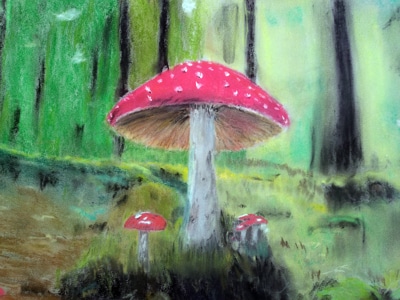Mick Witts