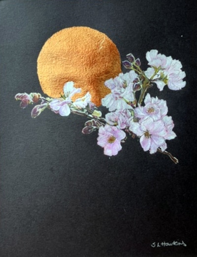 Stephanie Druce