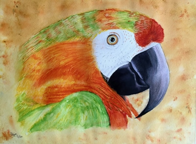 Stephanie Druce
