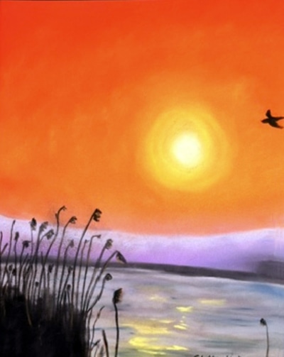Sherri Hawkins
